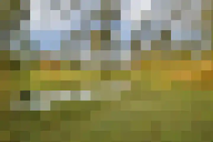Tobias Asserlaan 334 Diemen thumbnail 24
