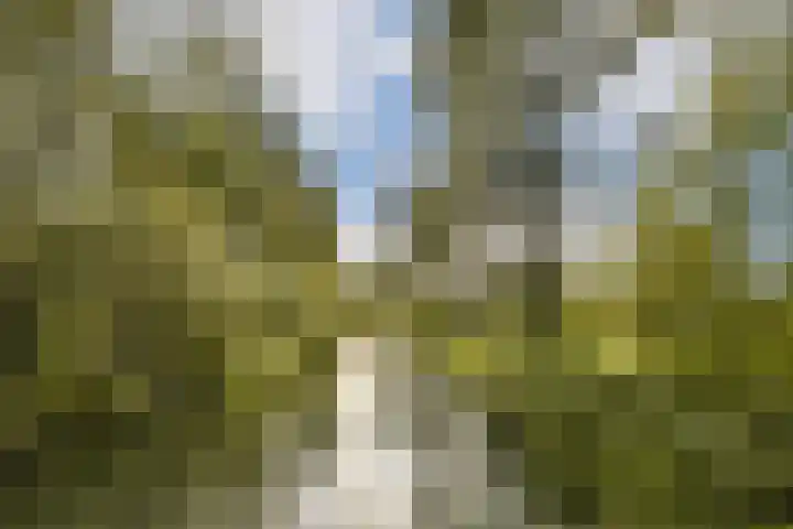 Tobias Asserlaan 334 Diemen thumbnail 26