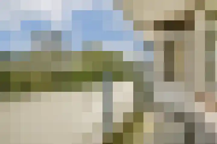 Tobias Asserlaan 334 Diemen thumbnail 4
