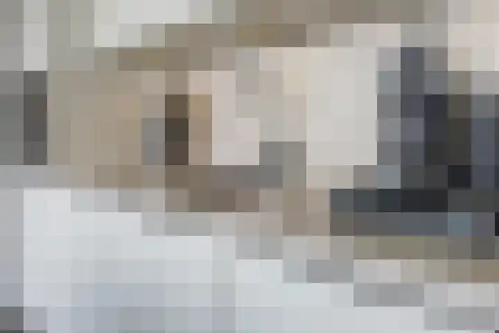 Tobias Asserlaan 344 Diemen thumbnail 11