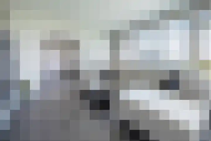 Tobias Asserlaan 344 Diemen thumbnail 14