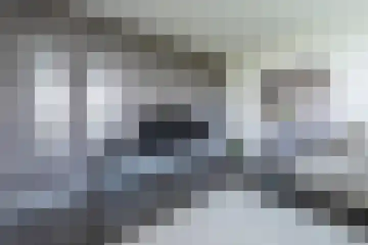 Tobias Asserlaan 344 Diemen thumbnail 17