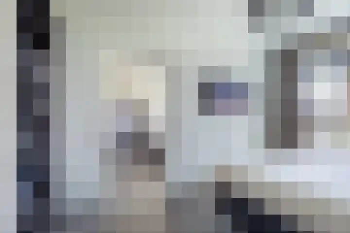 Tobias Asserlaan 344 Diemen thumbnail 24