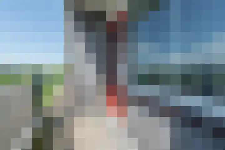 Tobias Asserlaan 344 Diemen thumbnail 26
