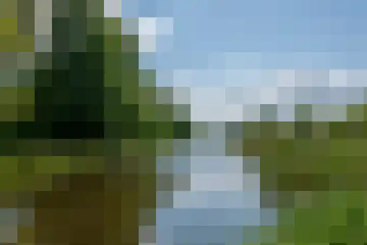 Tobias Asserlaan 344 Diemen thumbnail 31