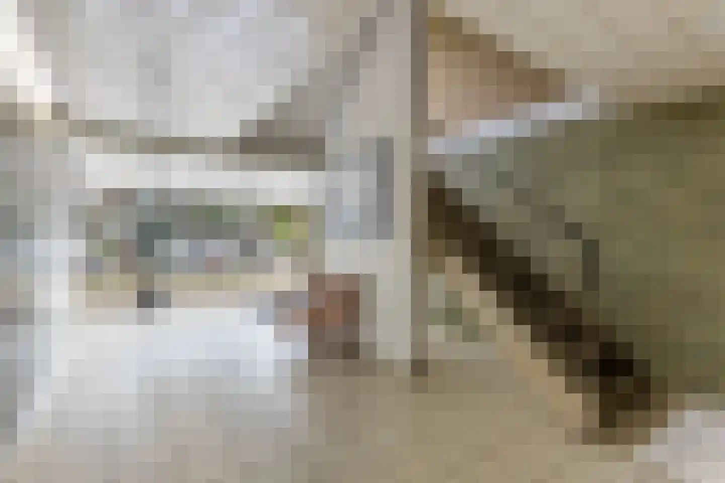 Tobias Asserlaan 345 Diemen thumbnail 33