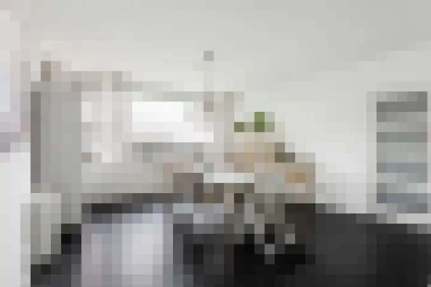Tobias Asserlaan 345 Diemen thumbnail 9