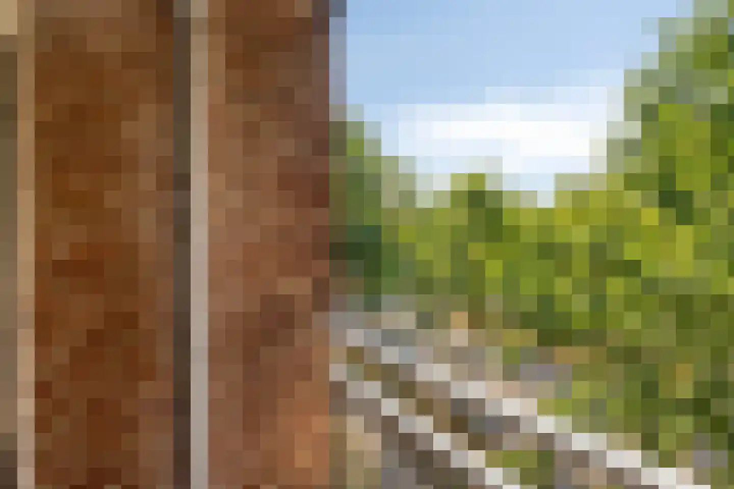 Tobias Asserlaan 346 Tilburg thumbnail 12