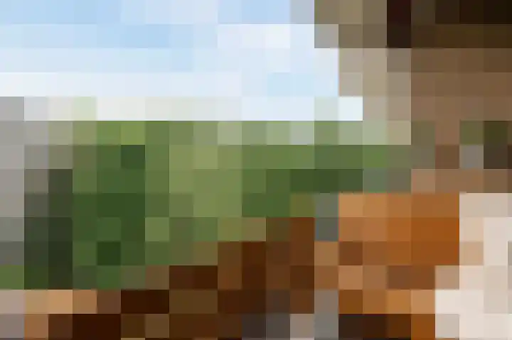 Tobias Asserlaan 360 Diemen thumbnail 17
