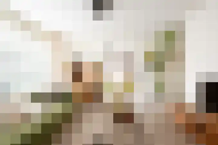 Tobias Asserlaan 360 Diemen foto 2