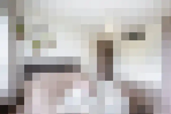 Tobias Asserlaan 360 Diemen thumbnail 20