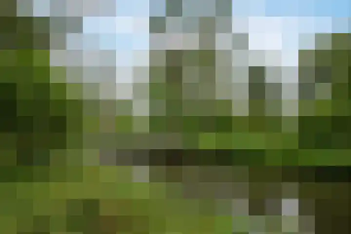 Tobias Asserlaan 360 Diemen thumbnail 22
