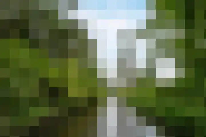 Tobias Asserlaan 360 Diemen thumbnail 23