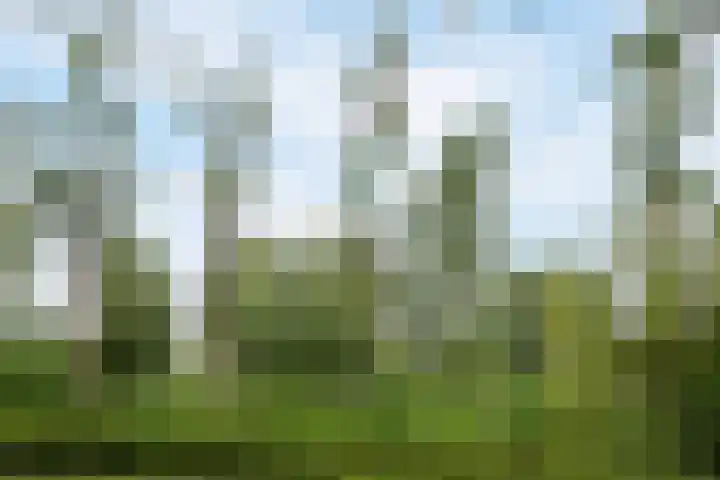 Tobias Asserlaan 360 Diemen thumbnail 24
