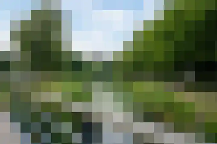 Tobias Asserlaan 360 Diemen thumbnail 25