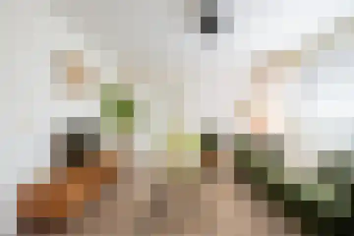Tobias Asserlaan 360 Diemen thumbnail 8
