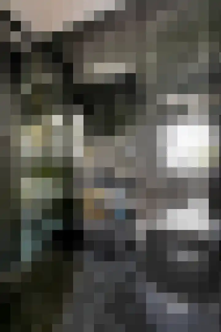 Tobias Asserlaan 391 Diemen thumbnail 13