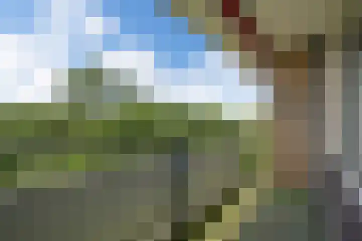Tobias Asserlaan 391 Diemen thumbnail 15