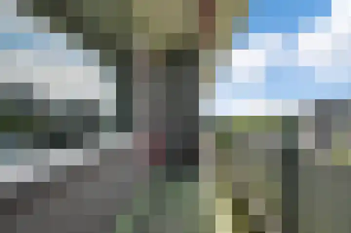 Tobias Asserlaan 391 Diemen thumbnail 16