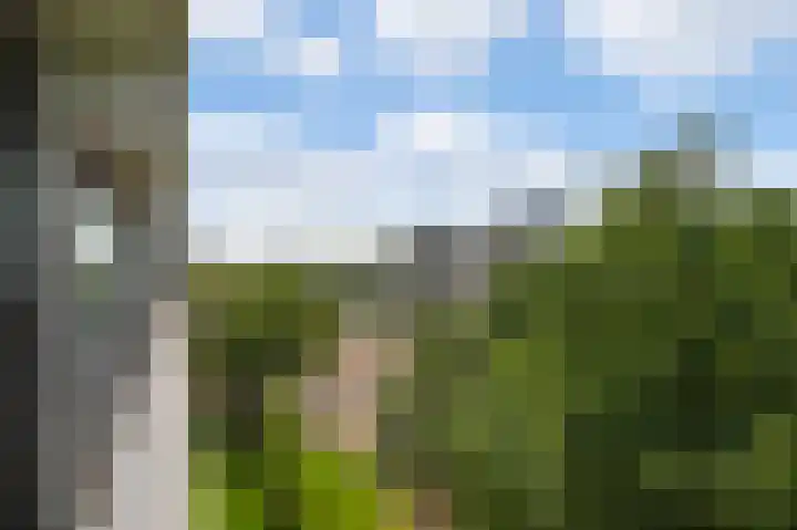 Tobias Asserlaan 391 Diemen thumbnail 17