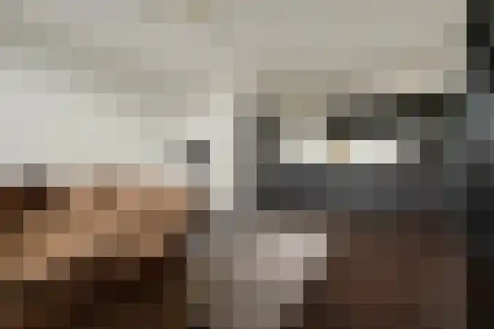 Tobias Asserlaan 391 Diemen thumbnail 21