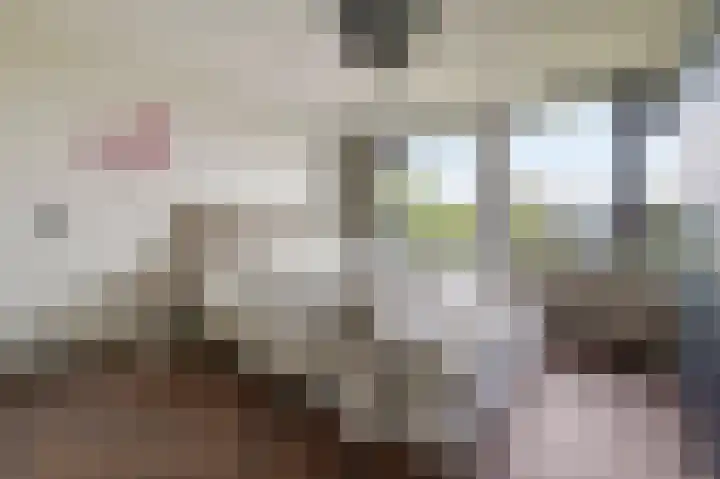 Tobias Asserlaan 391 Diemen thumbnail 24