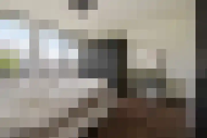 Tobias Asserlaan 391 Diemen thumbnail 25