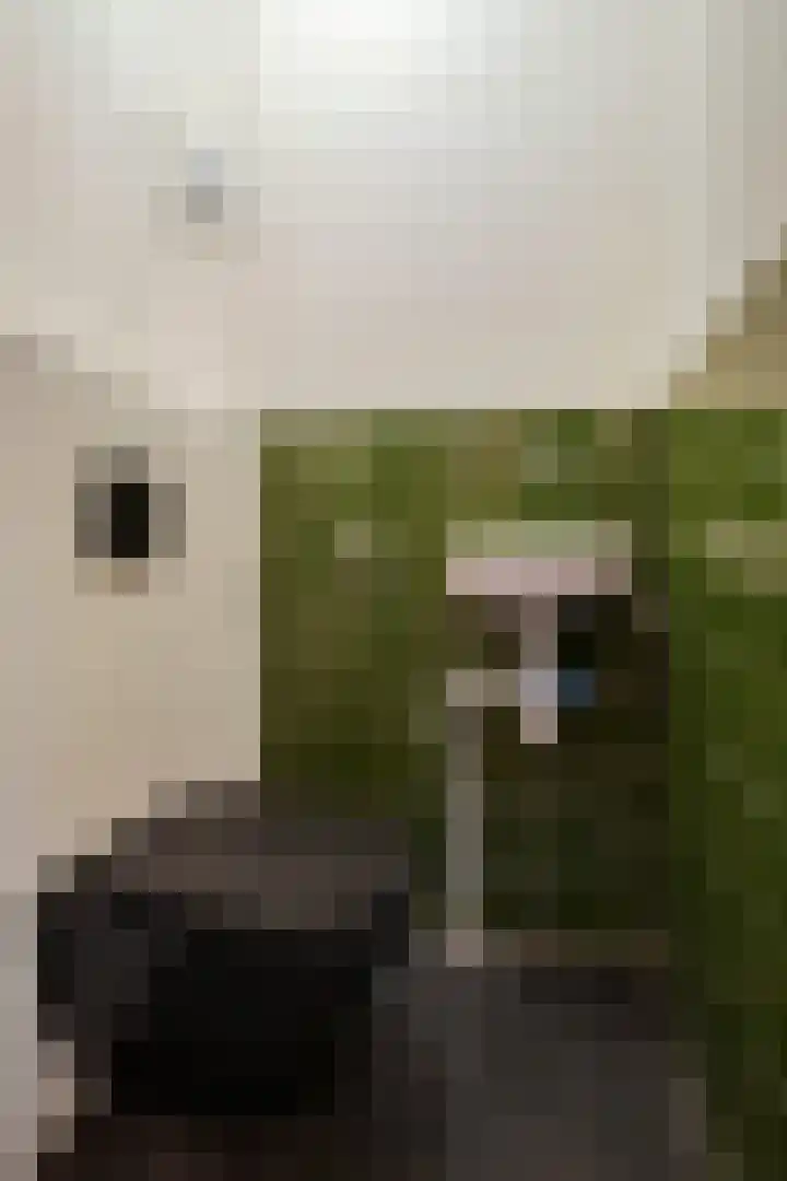 Tobias Asserlaan 391 Diemen thumbnail 29