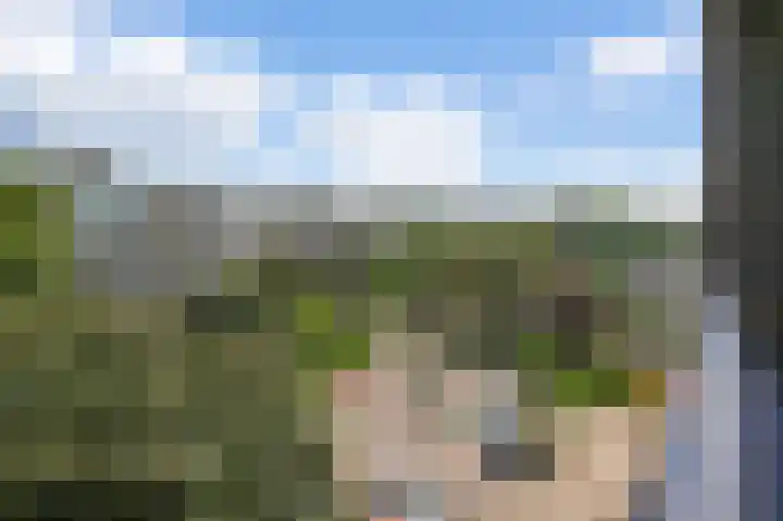 Tobias Asserlaan 391 Diemen thumbnail 31