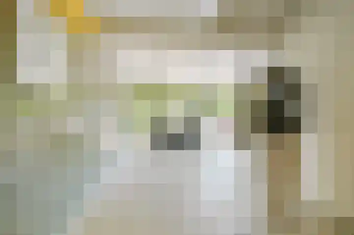 Tobias Asserlaan 391 Diemen thumbnail 34
