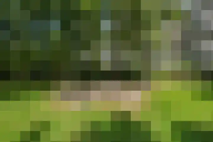 Tobias Asserlaan 391 Diemen thumbnail 37