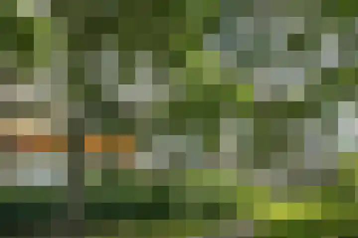 Tobias Asserlaan 391 Diemen thumbnail 38
