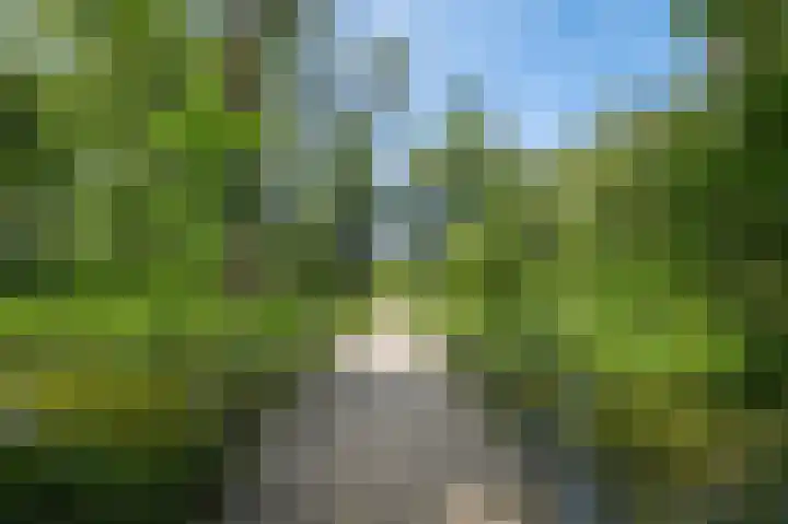Tobias Asserlaan 391 Diemen thumbnail 39
