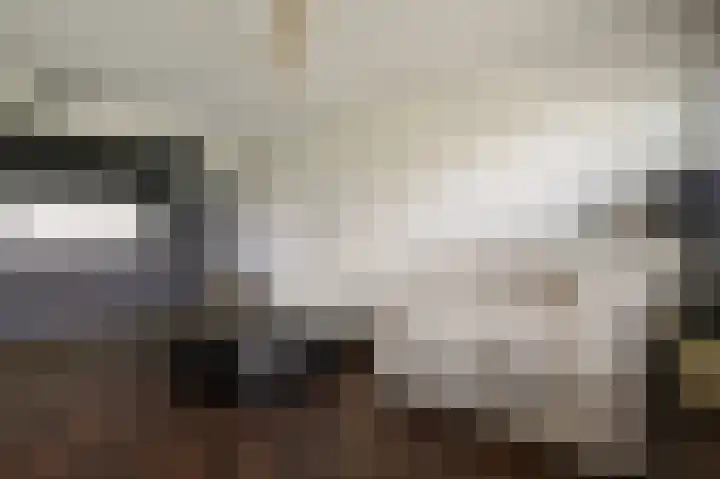 Tobias Asserlaan 391 Diemen thumbnail 4