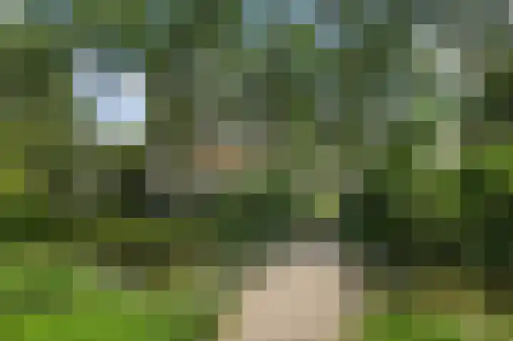 Tobias Asserlaan 391 Diemen thumbnail 40