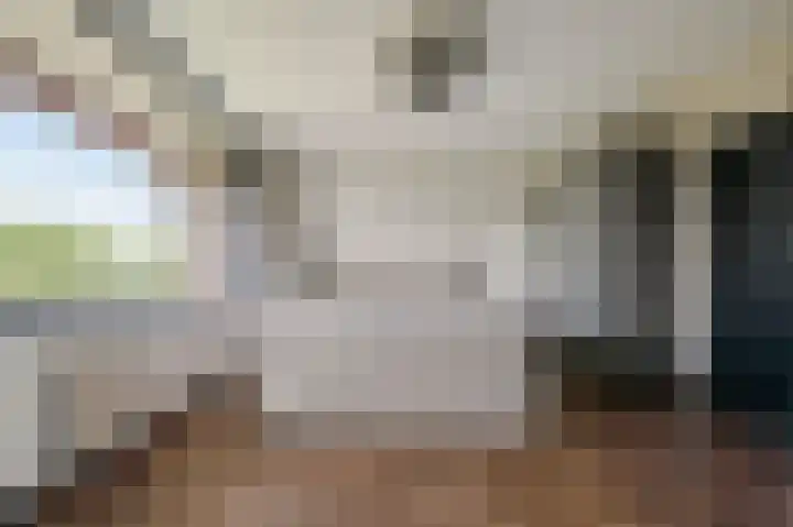 Tobias Asserlaan 391 Diemen thumbnail 8