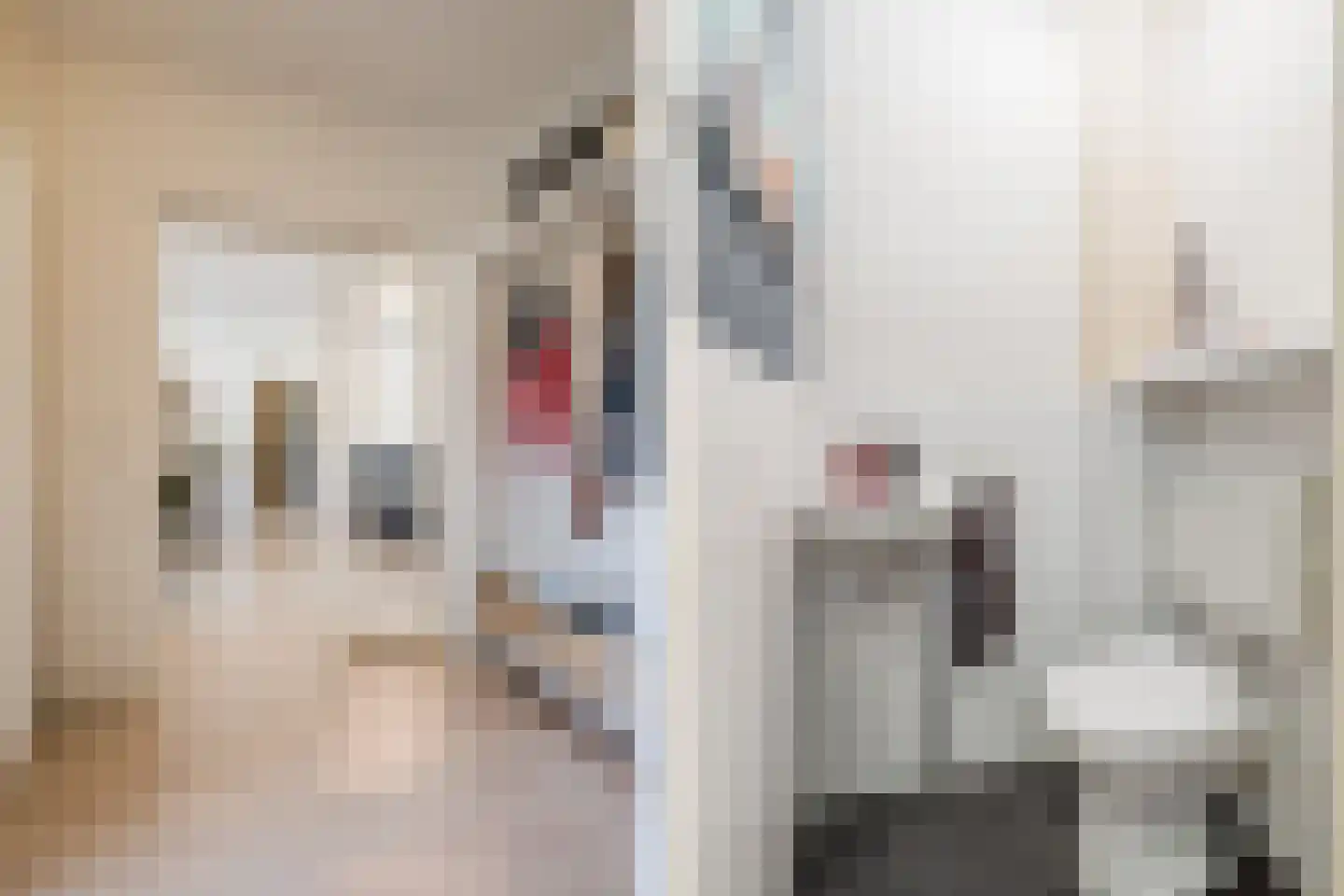 Tobias Asserlaan 421 Diemen thumbnail 35