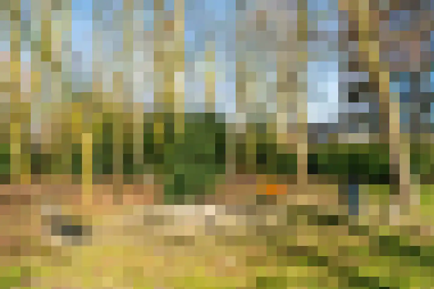 Tobias Asserlaan 421 Diemen thumbnail 44