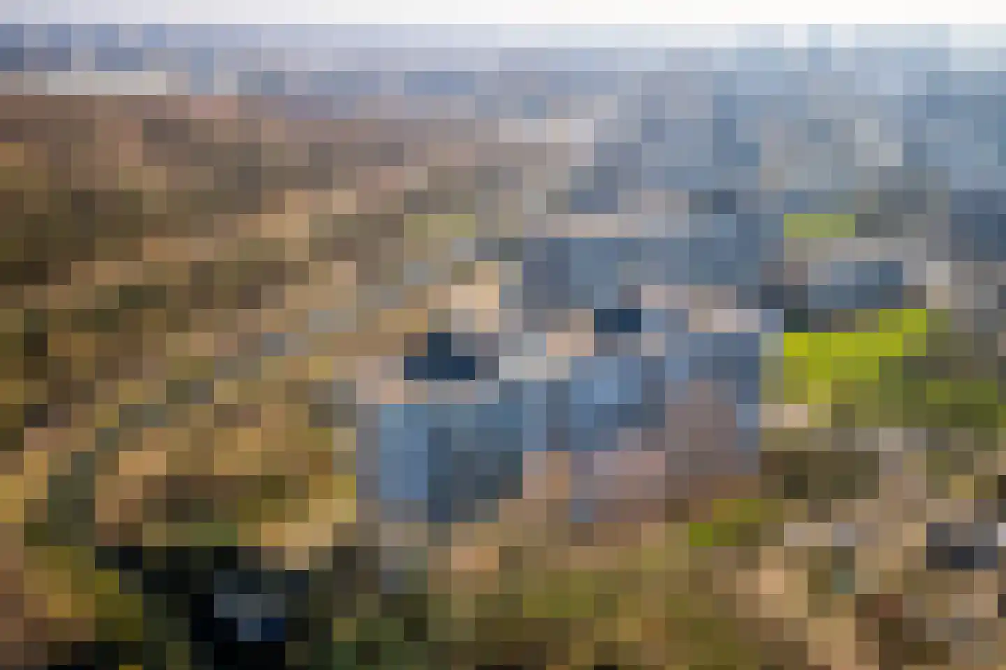 Tobias Asserlaan 421 Diemen thumbnail 47