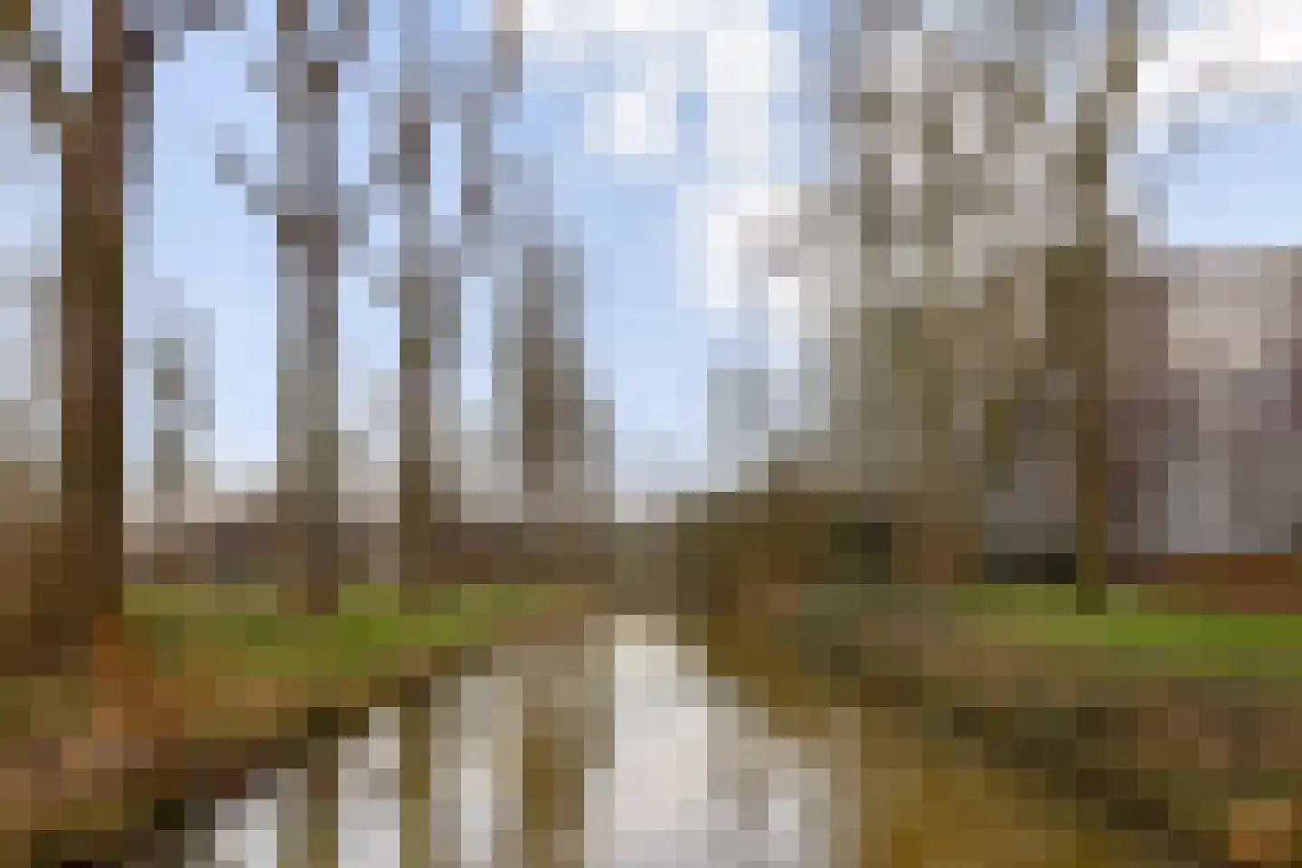 Tobias Asserlaan 427 Diemen thumbnail 23