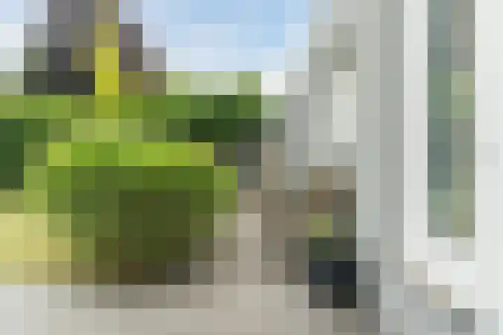 Tobias Asserlaan 43 Berkel-Enschot thumbnail 32