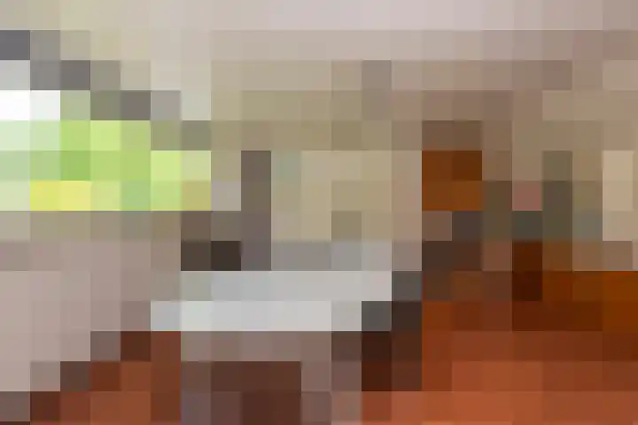 Tobias Asserlaan 75 Berkel-Enschot thumbnail 40