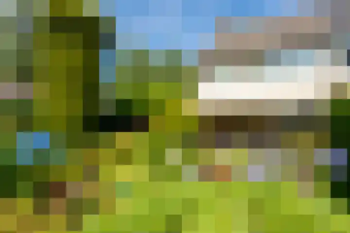 Tobias Asserlaan 75 Berkel-Enschot thumbnail 48