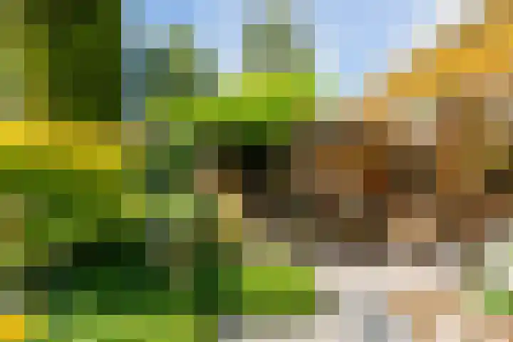 Tobias Asserlaan 75 Berkel-Enschot thumbnail 50