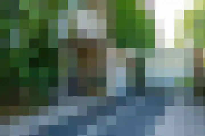 Tobias Asserlaan 75 Berkel-Enschot thumbnail 7