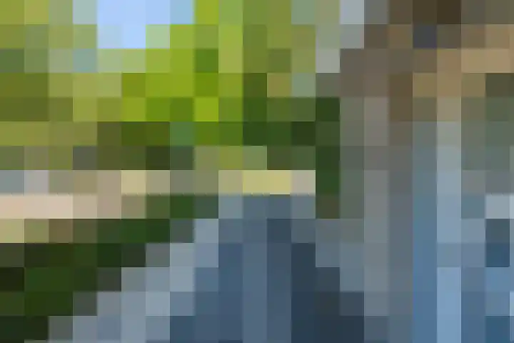 Tobias Asserlaan 75 Berkel-Enschot thumbnail 8