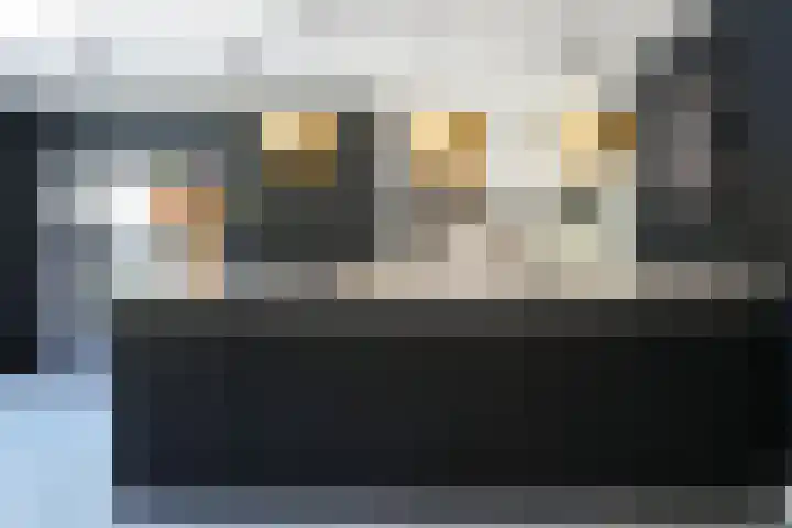 Tobias Asserlaan 9 Zaltbommel thumbnail 13