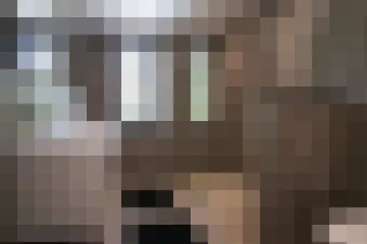 Tobias Asserlaan 9 Zaltbommel thumbnail 23