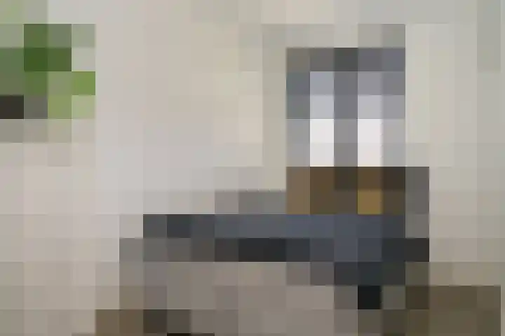 Tobias Asserlaan 9 Zaltbommel thumbnail 27