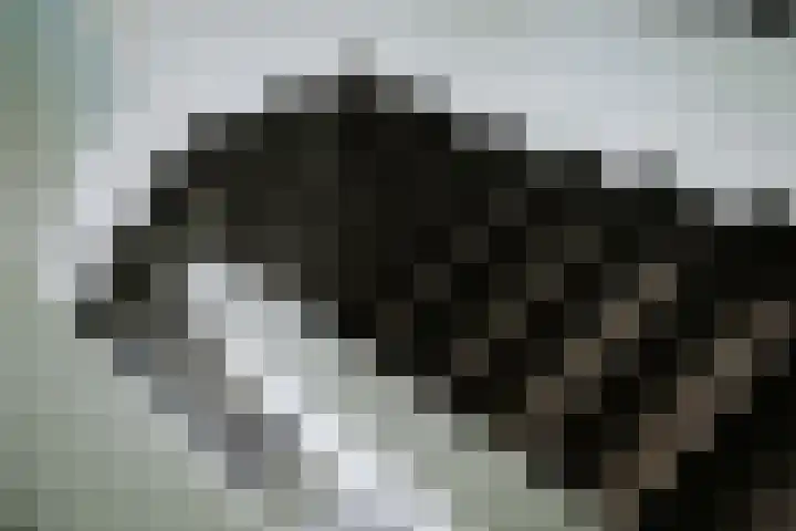 Tobias Asserlaan 9 Zaltbommel thumbnail 28